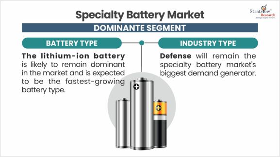 Specialty-Battery-Market-Segment-Analysis-By-Battery-Type